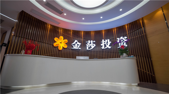 普宁市金莎投资有限公司